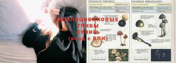 кокаин колумбия Кулебаки