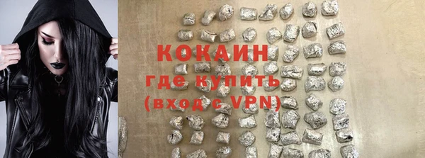 PSILOCYBIN Кукмор