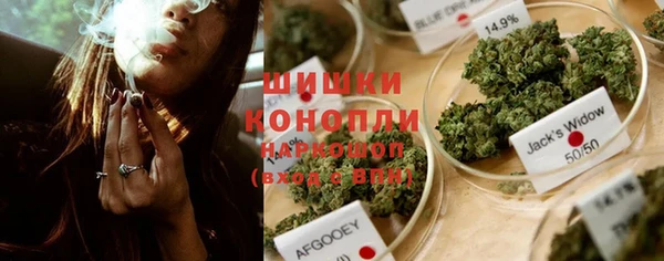 PSILOCYBIN Кукмор