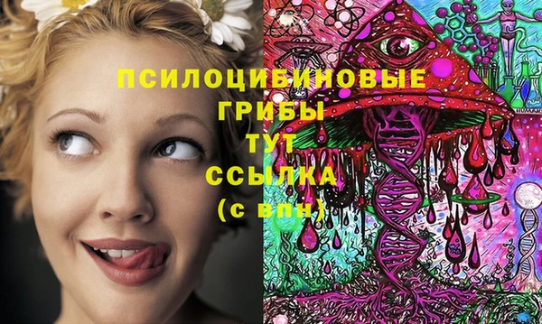 PSILOCYBIN Кукмор
