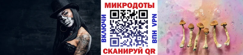 Купить  Курск  Галлюциногенные грибы MAGIC MUSHROOMS 